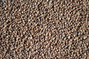 Closeup shot of chickpea, chickpea background