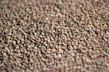Closeup shot of chickpea, chickpea background