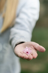 A woman holding pink cherry blossom flowers
