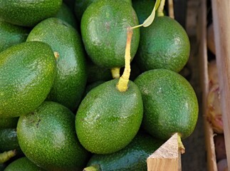 A treat - avocados from the market