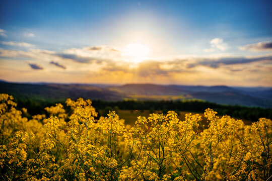 Sonnenuntergang, Abendrot, Wolken, Rhön, Hessen, Bayern, Thüringen, Sonne, Abendstimmung, Blumenwiese, Raps