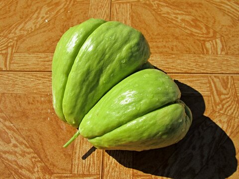 XuXu vegetables in Portugal