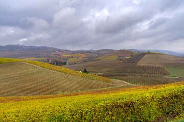 Autumnal landscape of vines and hills in Langhe, Italy