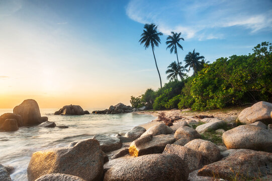 sunset on the dolphin beach, trikora, bintan island