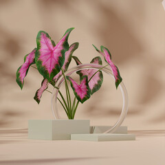 3D rendering template green podium in square with blurred glass decoration and pink burst caladium