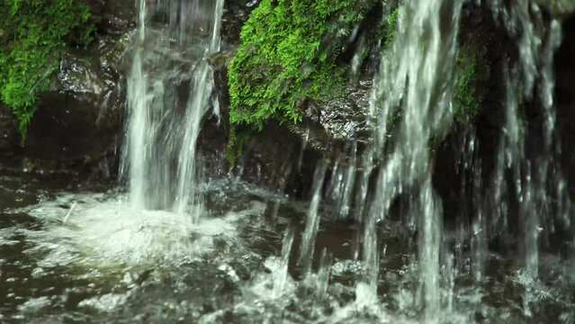 Water fall into stream with lush green moss on the dark rock