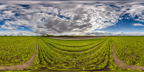 full seamless 360 hdri panorama view among farming fields with sun with clouds in overcast sky in equirectangular spherical projection, ready for VR AR virtual reality content