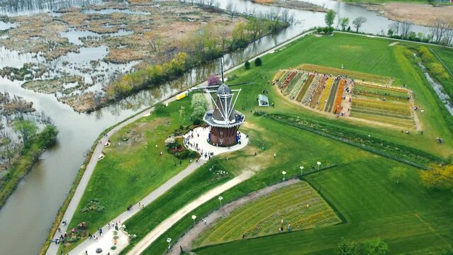 Aerial flight over the windmill in the town of Holland in Michigan. Holland, Michigan, USA Large windmill and fields covered with tulips. Tourist place in the USA.
