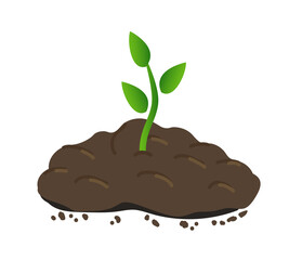 Small plant growing in the ground. Young green sprout