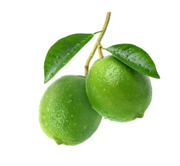 Natural fresh limes with water droplets  isolated on white background.
