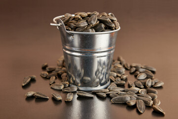 A small bucket filled with sunflower seeds on a black background.