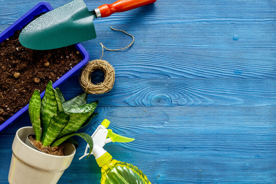 Tools set for farmers gardener, top view. Gardening concept
