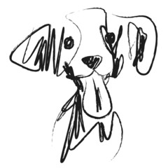 Croquis de la tête d’un jeune chien, rapidement dessiné au crayon noir.
