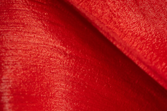 Macro bright red tulip petal photo super closeup. Natural fresh texture background