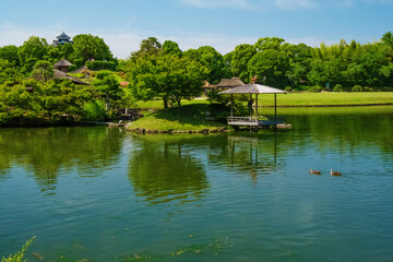 Fototapeta premium 新緑の岡山後楽園 岡山県