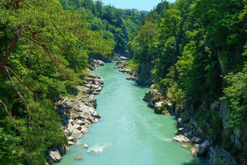 新緑の天龍峡　長野県