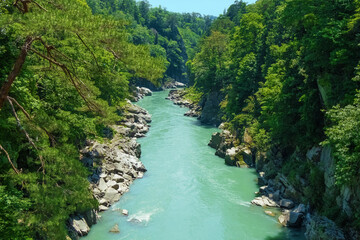 新緑の天龍峡　長野県