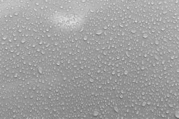 Water droplets on the gray background.