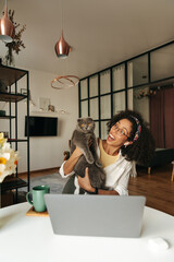 Joyful young african girl playing with her grey cat sitting at home with laptop. Brunette woman with curly hair wears casual clothes. pet concept