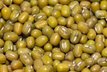 Mung beans as a background.