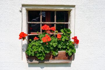 Fototapeta na wymiar Window in the Alps mountan