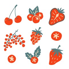 Berries set. Cherries, strawberries, chokeberry. Vector hand drawn illustration.