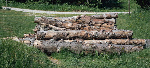 Wooden logs in the meadow. Concept of deforestation, renewable energy and energy saving.