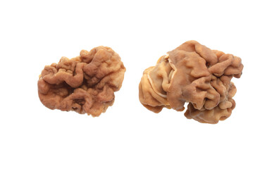 Stitches giant mushroom isolated on white