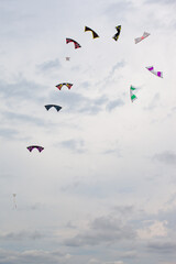 Fototapeta na wymiar Kite in the sky, Wind Festival Penvins Sarzeau, Fête du Vent. Nine individual kites follow each other in a perfect ballet.