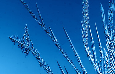 Gold patterns from frost on glass as a background.
