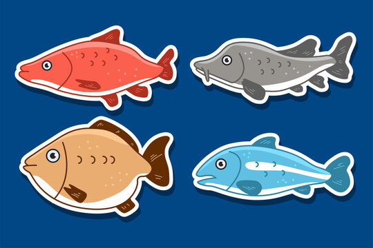 River and ocean fishes vector cartoon set isolated on background.