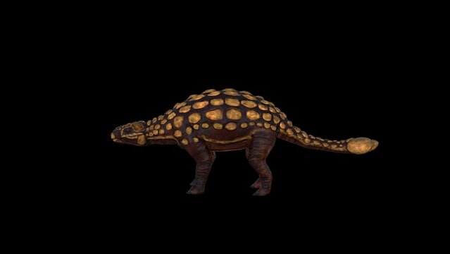 Dinosaur Ankylosaurus Attack Full HD 1920&times;1080.3 Second Long.Transparent Alpha video.LOOP.