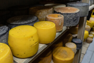 Farm cheese production. Cheese of different varieties on the shelves in the refrigerator. Many types of farm cheese on the shelves of the storage chamber. Farm cheese factory. cheese warehouse, stores