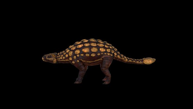 Dinosaur Ankylosaurus Idle Full HD 1920&times;1080.05 Second Long.Transparent Alpha video.LOOP.