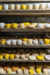 Farm cheese production. Cheese of different varieties on the shelves in the refrigerator. Many types of farm cheese on the shelves of the storage chamber. Farm cheese factory. cheese warehouse, stores