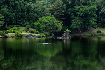 Fototapeta na wymiar 雨の日の日本庭園　6月　六義園