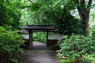 雨の日の日本庭園　6月　六義園
