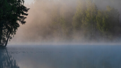 Silhouettes of trees on background of a foggy lake in the early morning