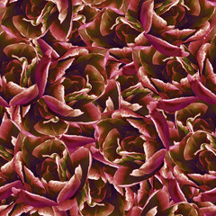  Beautiful roses.Seamless background. Flowers. Stylization: watercolor.