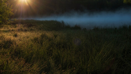 sun illuminates a foggy lake near the forest and the grass is wet from the morning dew