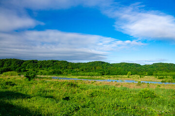 Fototapeta na wymiar 多摩川と滝山丘陵　初夏の風景