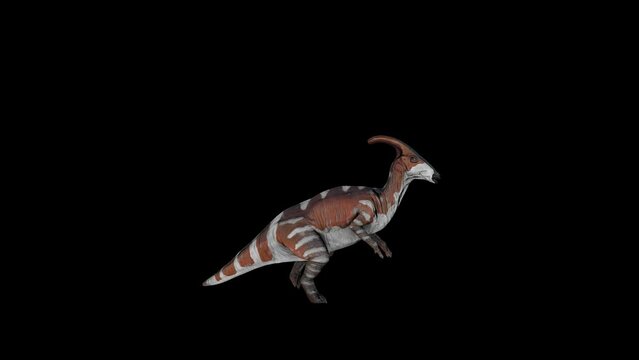 Dinosaur Parasaurolophus Walk Full HD 1920&times;1080.7 Second Long.Transparent Alpha video.LOOP.