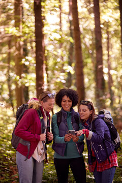 Female Friends With Mobile Phone On Holiday Hiking Through Woods Using GPS App To Navigate