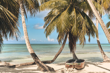 Palm trees on the beach of Saona island in the Caribbean sea. Summer landscape. - obrazy, fototapety, plakaty