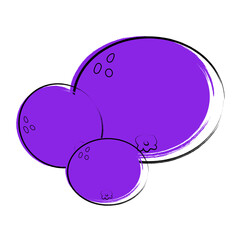 Vector illustration of blueberries on a white background.