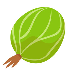 Gooseberry three quarter view. Berry in cartoon style.