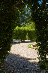 sprawling trees give shade and make you feel relaxed