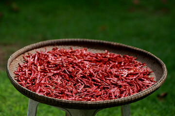 Dried chili outdoors , raw for cooking