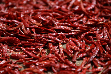 Dried chili outdoors , raw for cooking