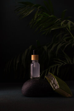 Cosmetic bottle with a dropper and a cosmetic product with aloe, a dark background with green flowers and black sea stones, the concept of skin care and moisturizing